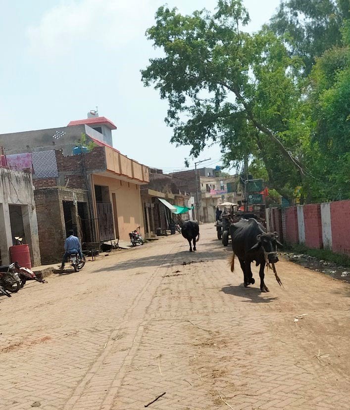 Chathian wala bazar