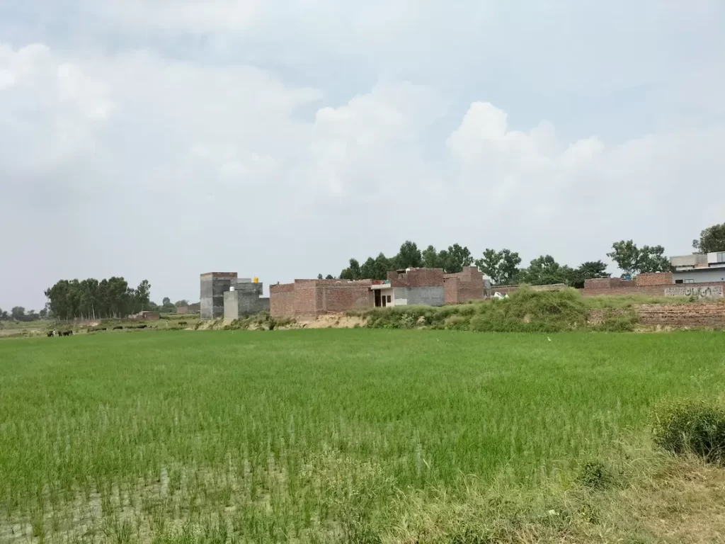 Rang pur village kasur