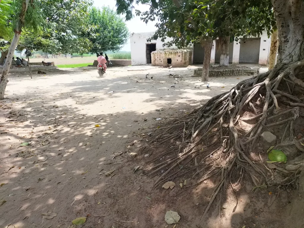 katlohi kalan village of district kasur pakistan