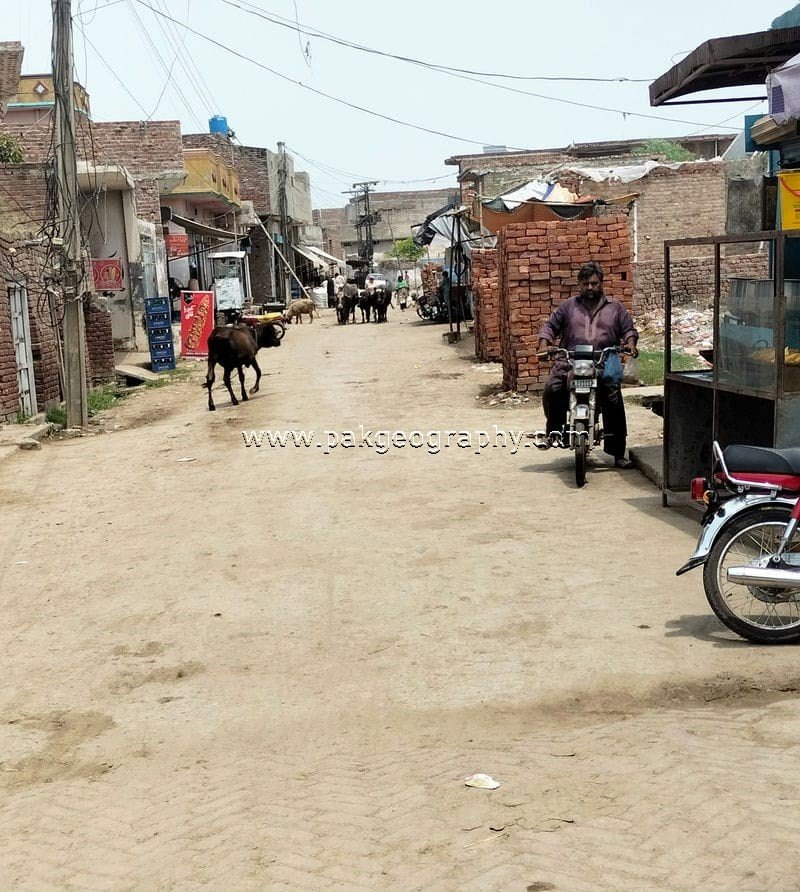 Vehgal village district kasur pakistan