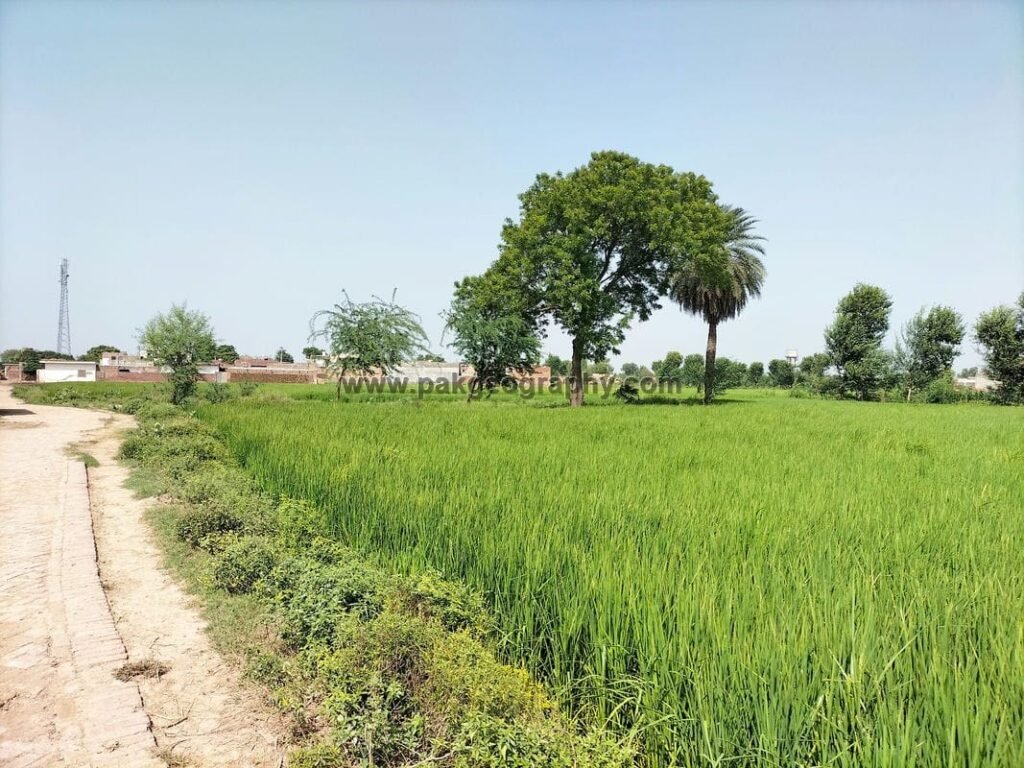 villages of kasur district