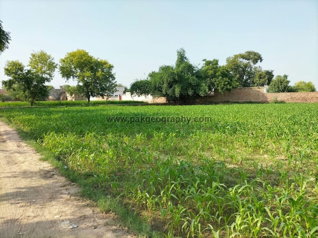 Haveli kumharan wali kasur village, pakistan