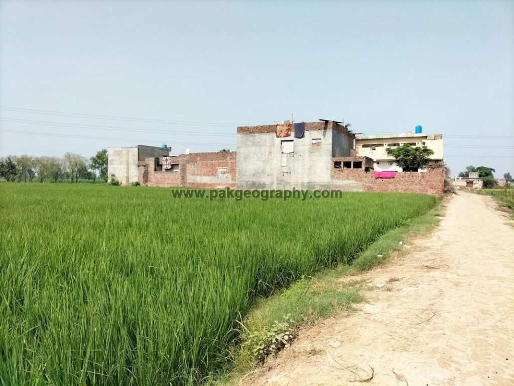 Kafan wara village district kasur