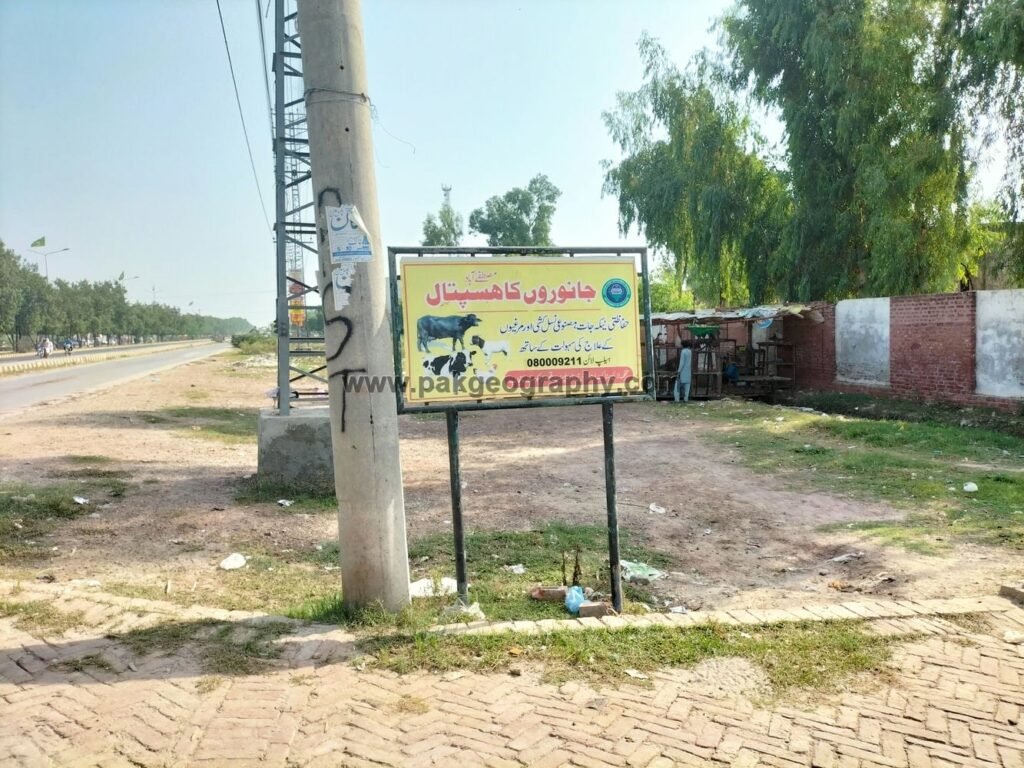 veterinary hospital mustafabad kasur