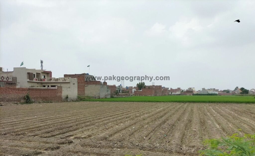 Shehzda village, lahore