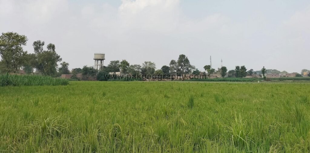 Rasool Nagar