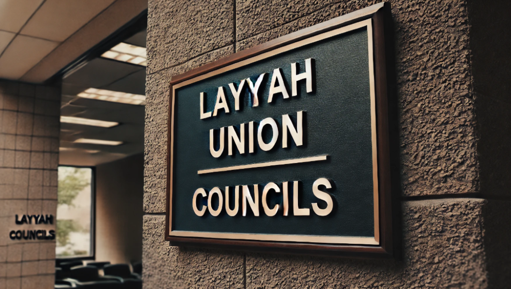 Layyah union councils