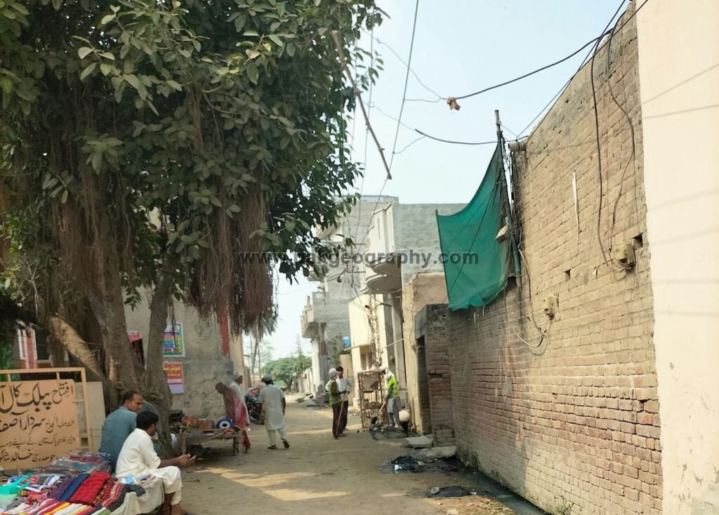 bazeed pur