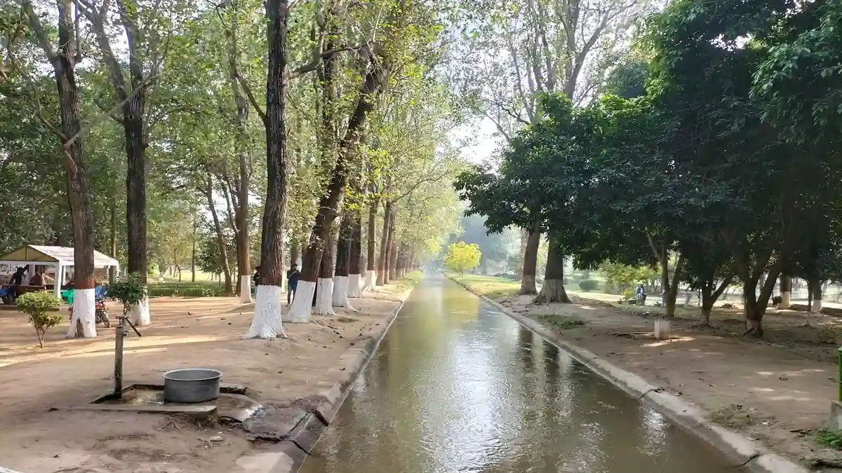 Changa Manga Forest. Watercourse and trees around it.
