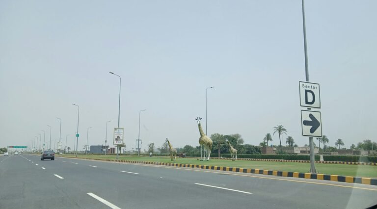 Multan visual data 8